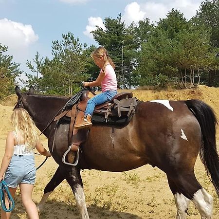 3 Bedroom Chalet On Camping Gt Balen Dış mekan fotoğraf