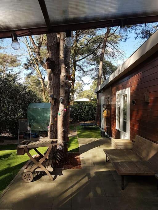 3 Bedroom Chalet On Camping Gt Balen Dış mekan fotoğraf